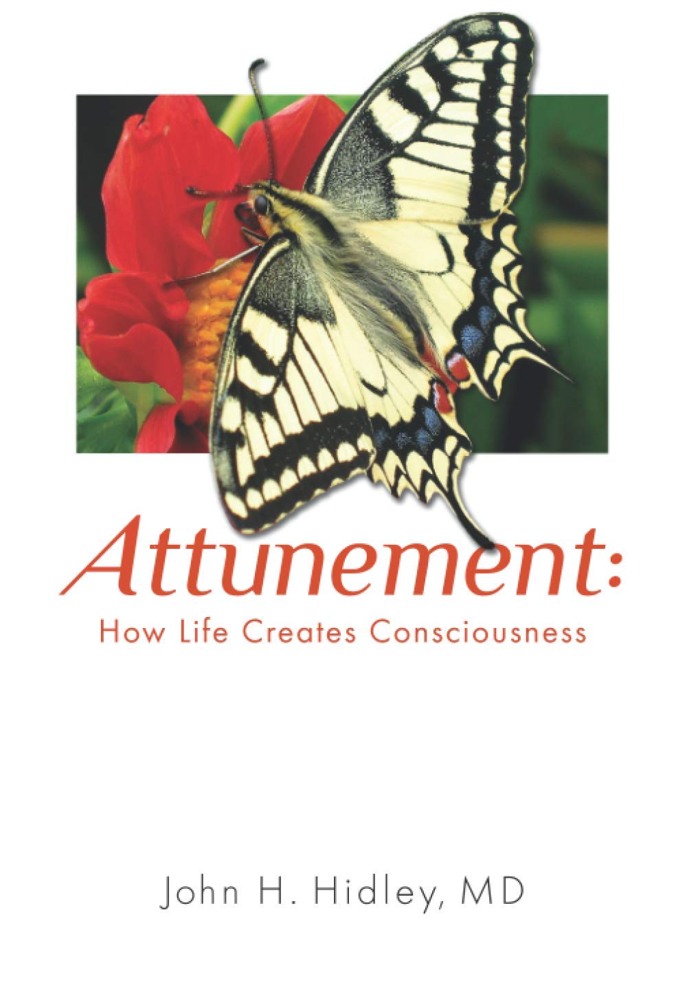 Book cover of Attunement